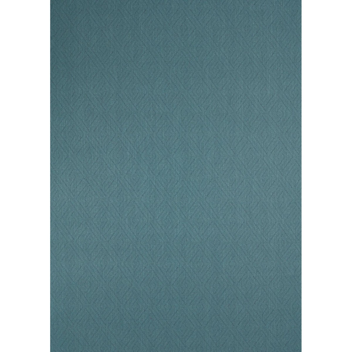 tr7980-099-142.jpg