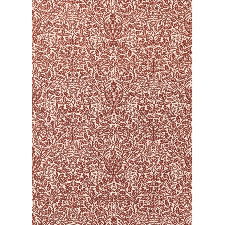 ts7999-002-136.jpg
