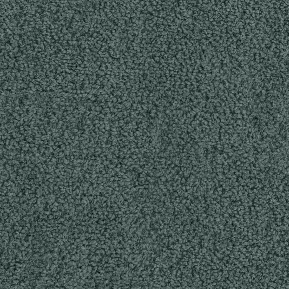 tp1502-006-138.jpg