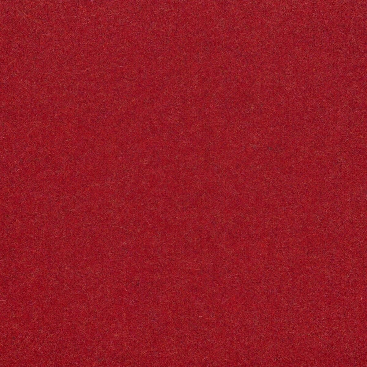 tp1136-001-138.jpg