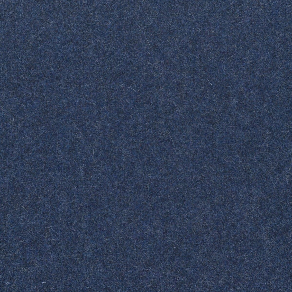 tp1136-062-138.jpg