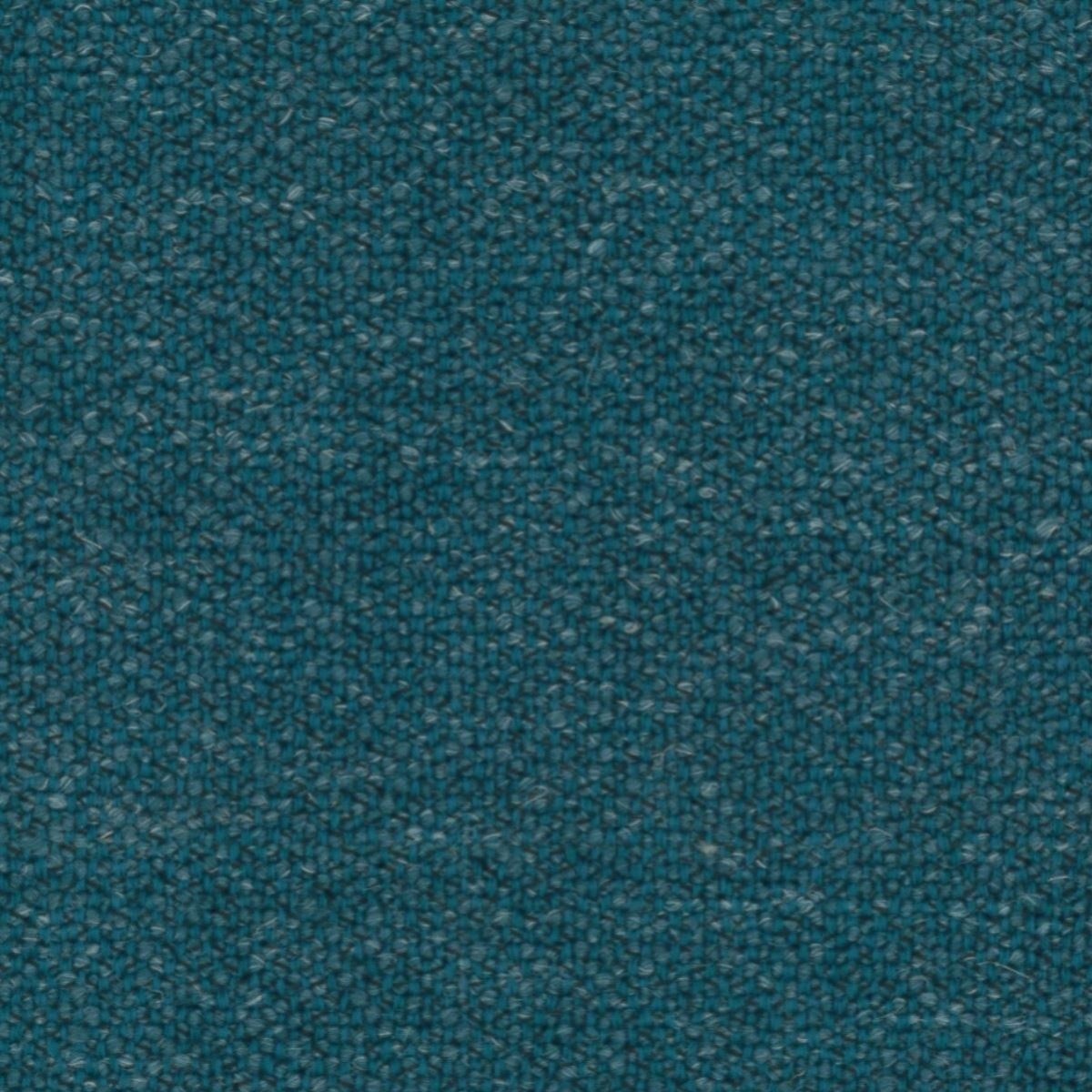 tp1233-006-138.jpg