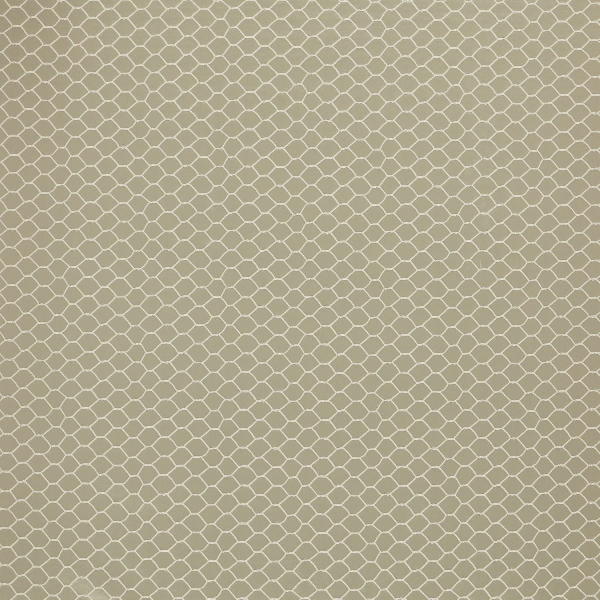 ts7279-002-136.jpg