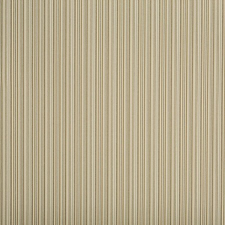 tl8601-003-145.jpg