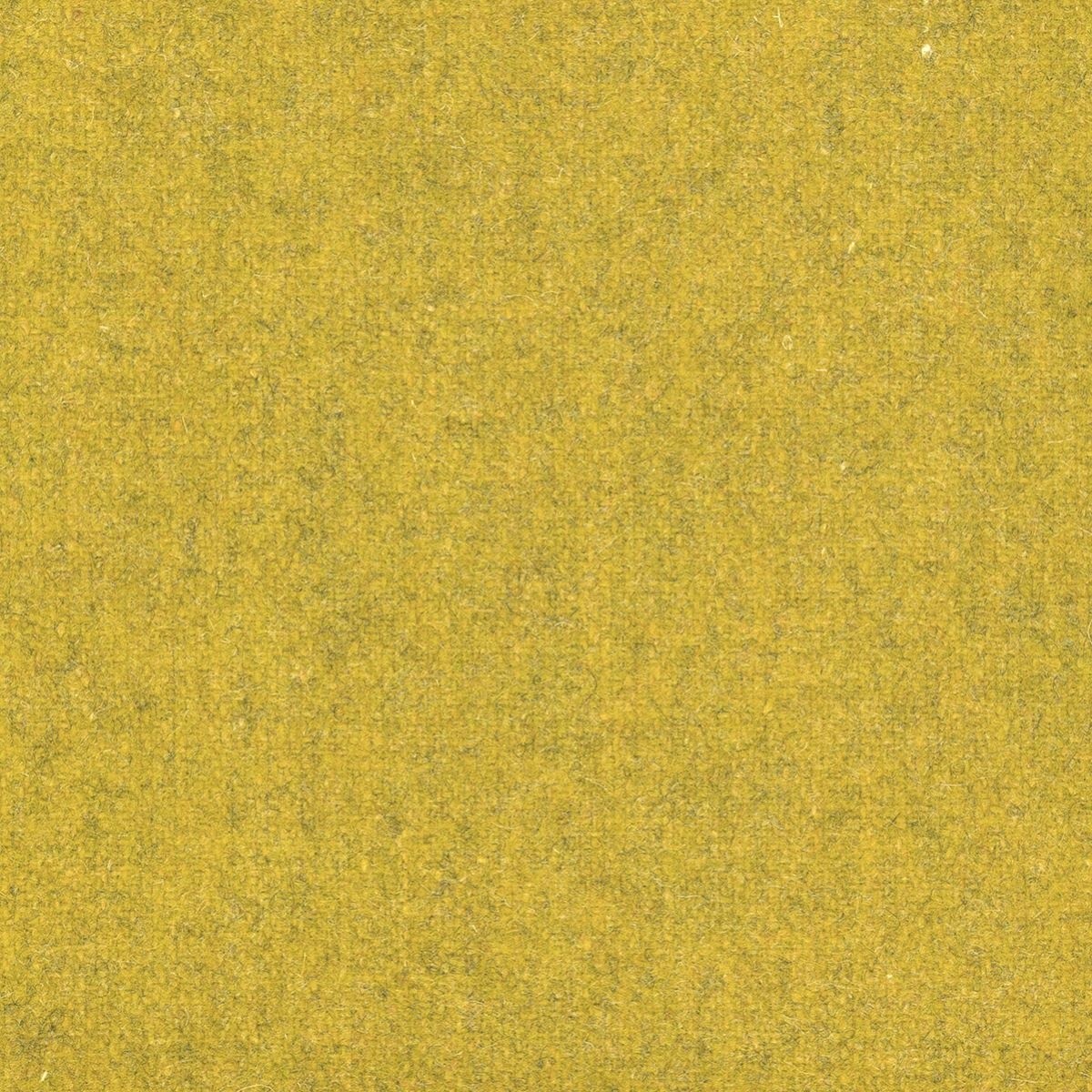 tp1136-021-138.jpg