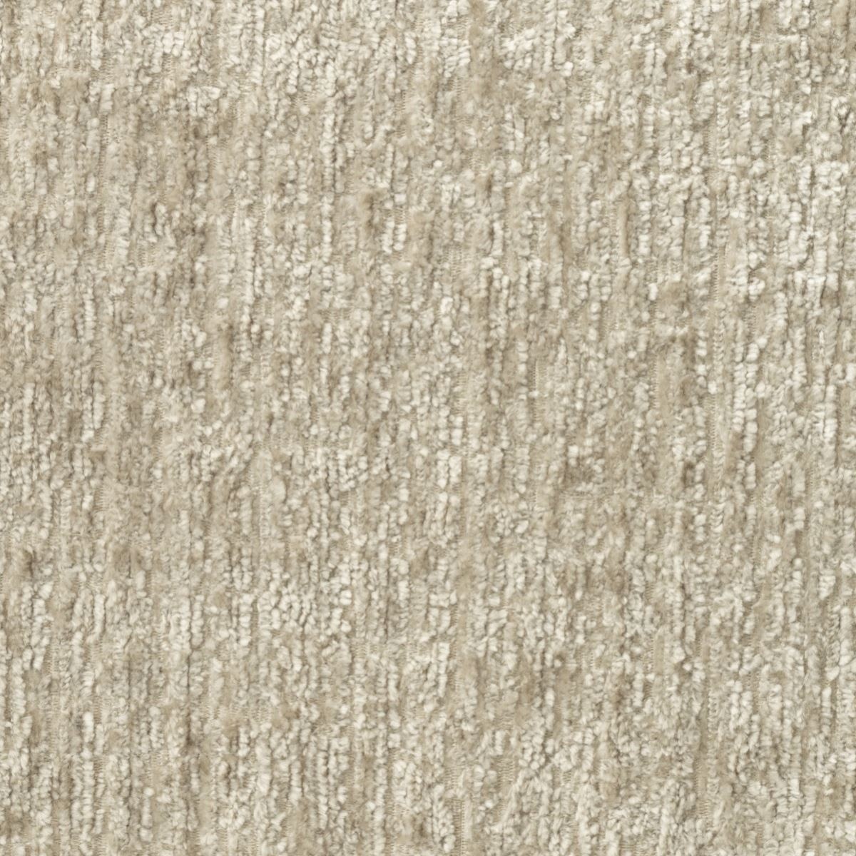 tp1462-007-138.jpg