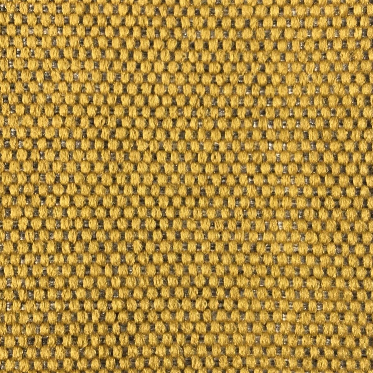 tp1217-050-138.jpg
