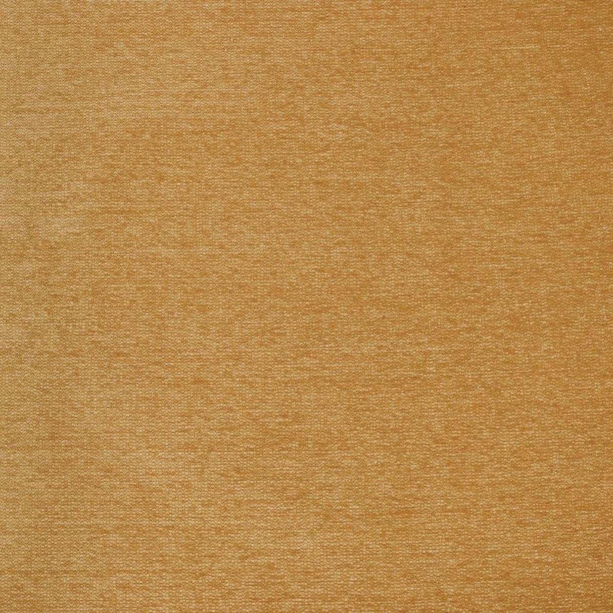 tp1240-005-140.jpg