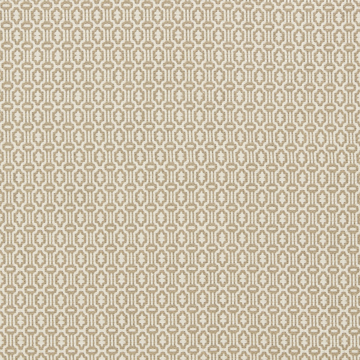 ts8056-003-140.jpg