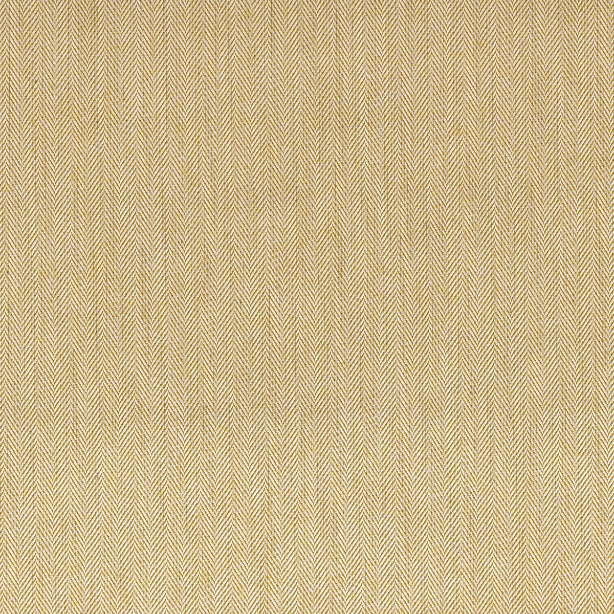 ts7554-017-137_b.jpg
