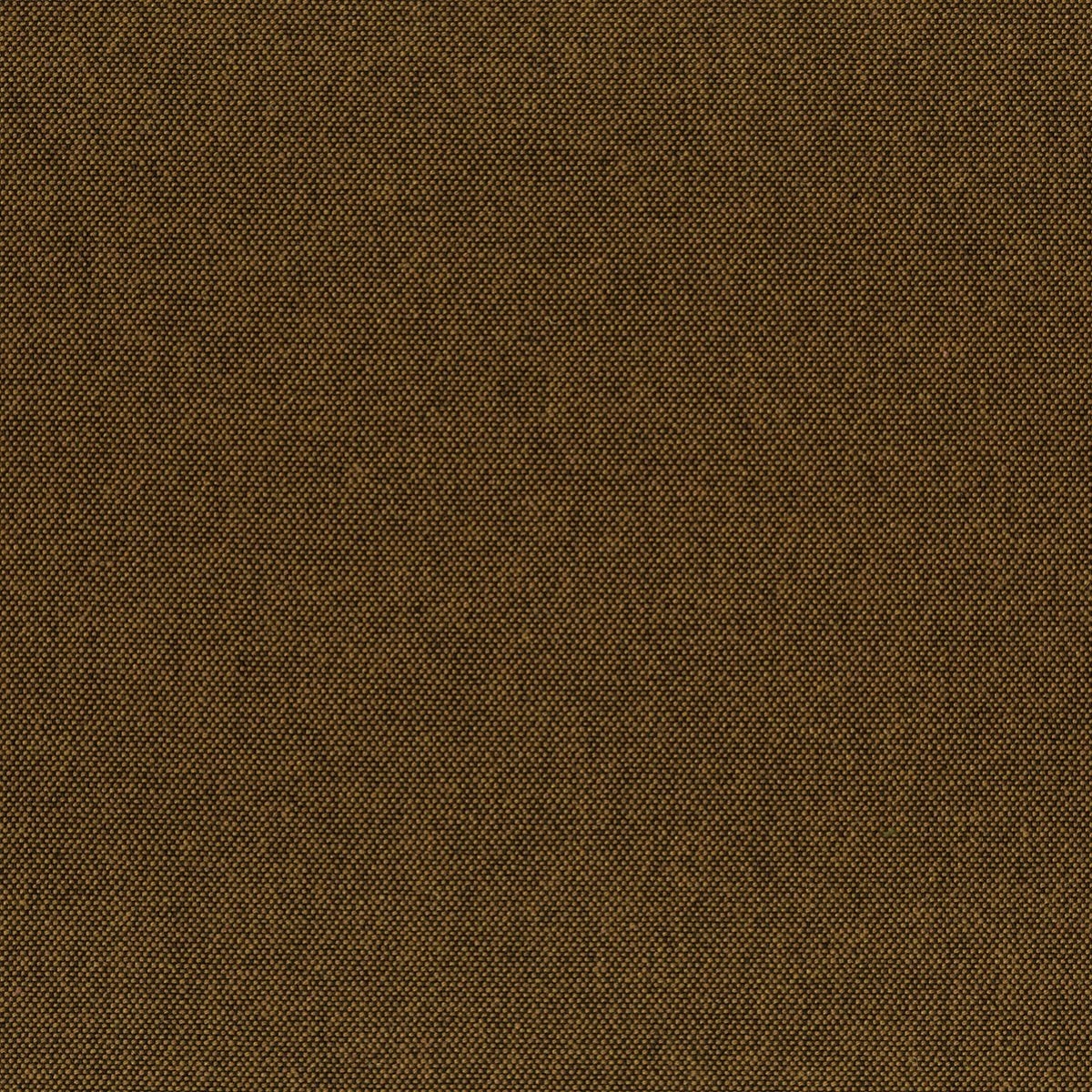 tp1498-050-145.jpg
