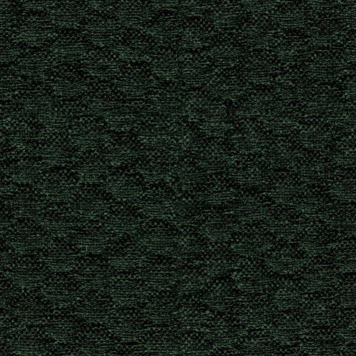 tp1419-020-141.jpg