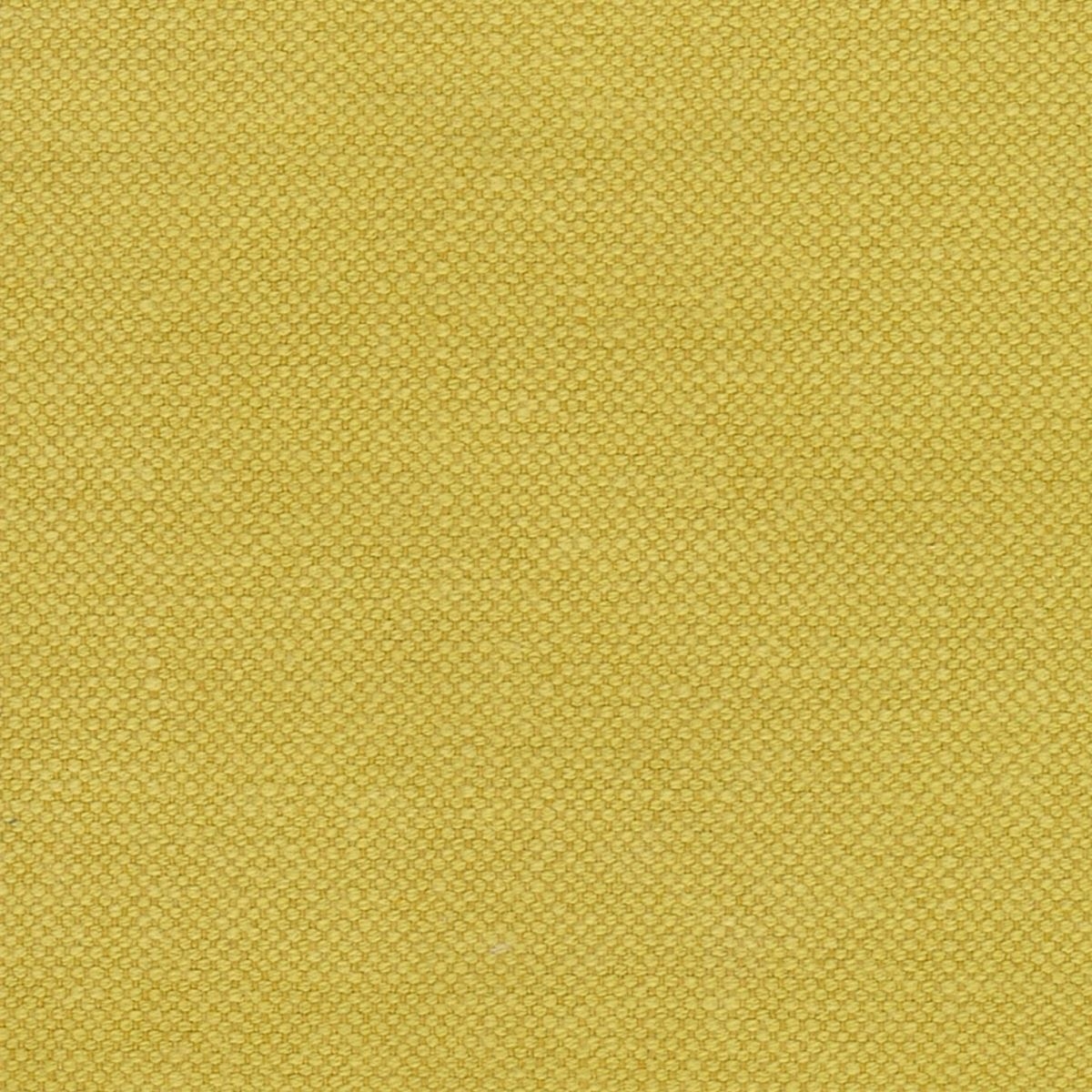 tp1509-050-280.jpg