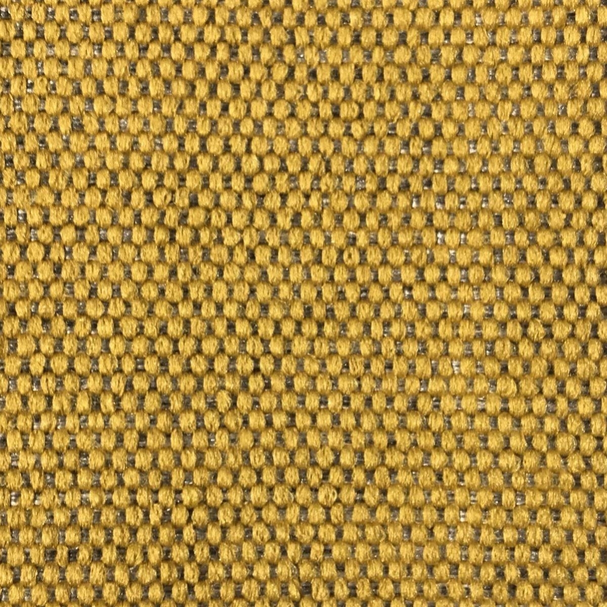 tp1217-050-138.jpg