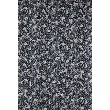 ts8072-001-137.jpg