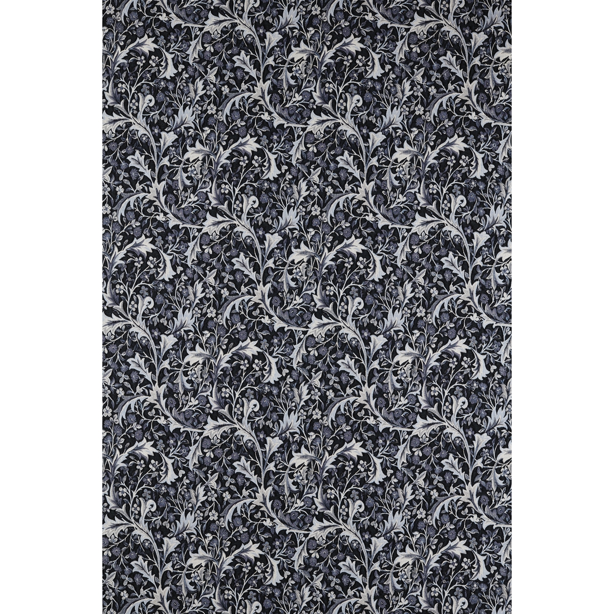 ts8072-001-137.jpg