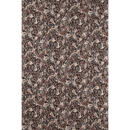 ts8072-099-137.jpg