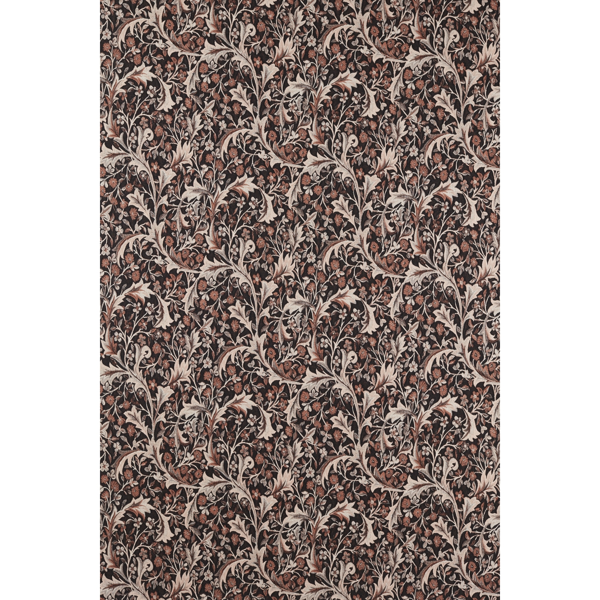 ts8072-099-137.jpg