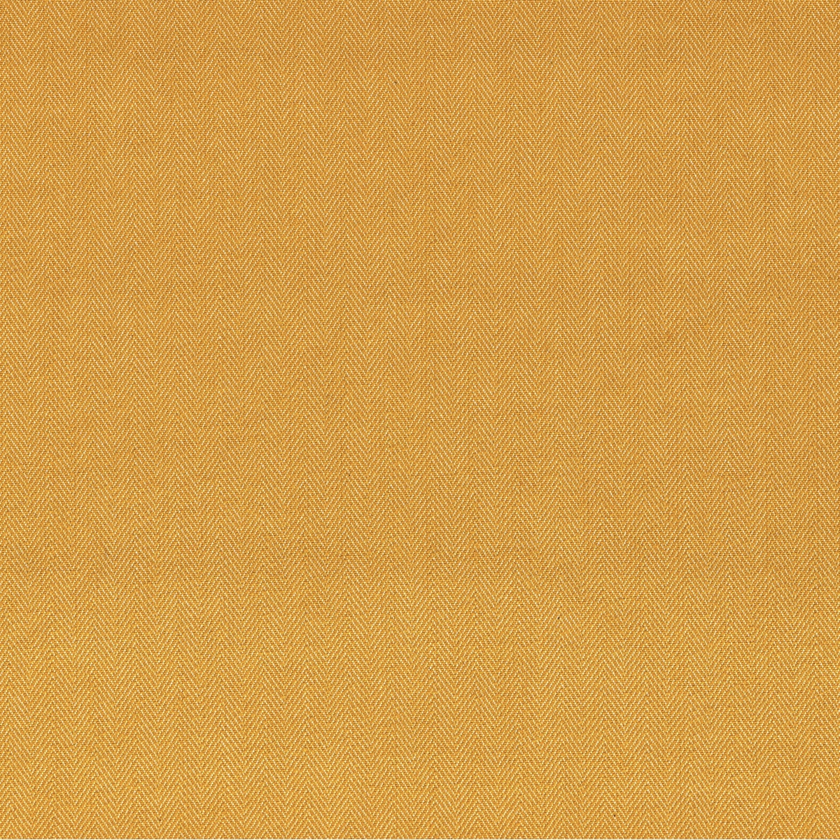 ts7554-017-137.jpg