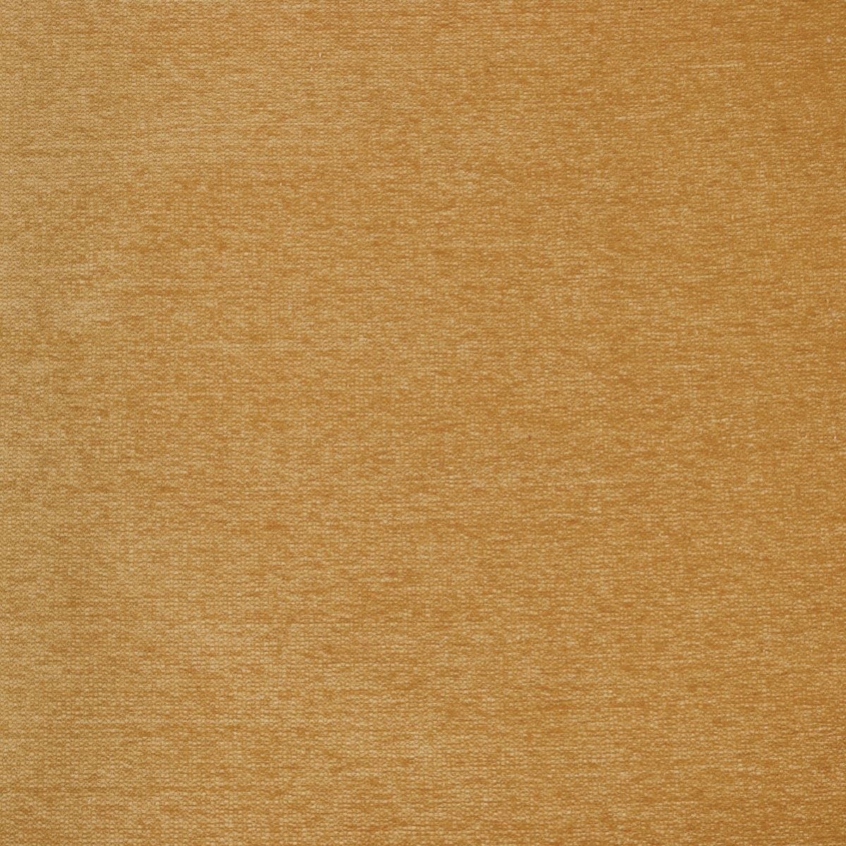 tp1240-005-140.jpg