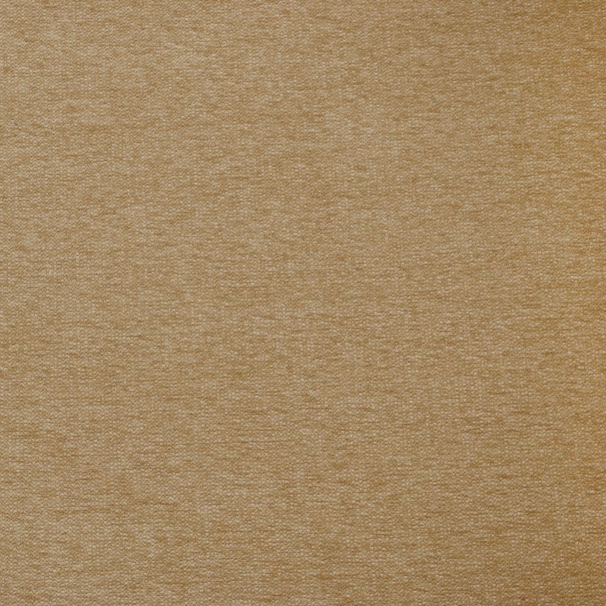 tp1240-050-140.jpg