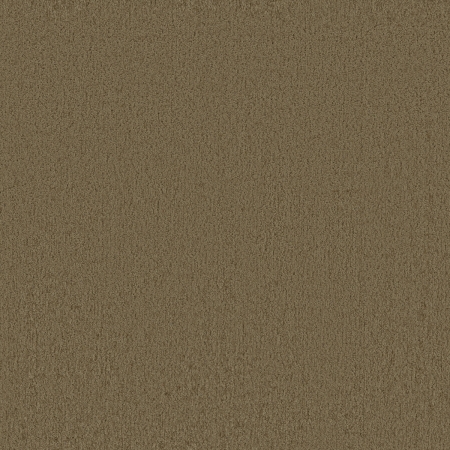 tp1563-022-138.jpg