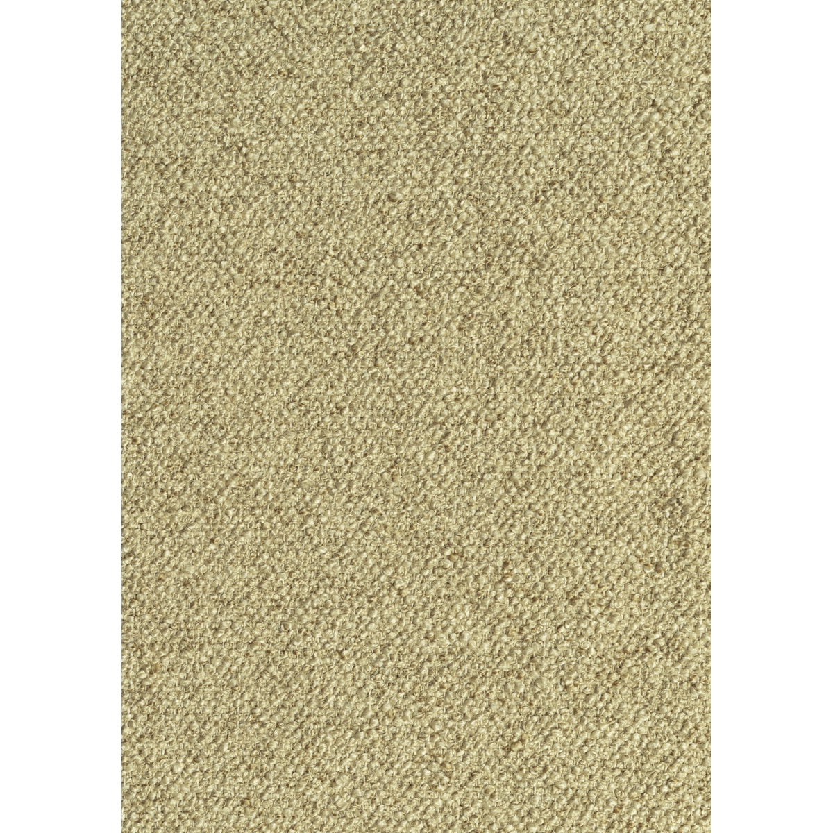 tp1564-005-138.jpg