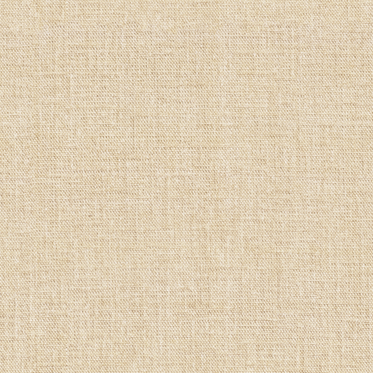 tp1572-003-142.jpg