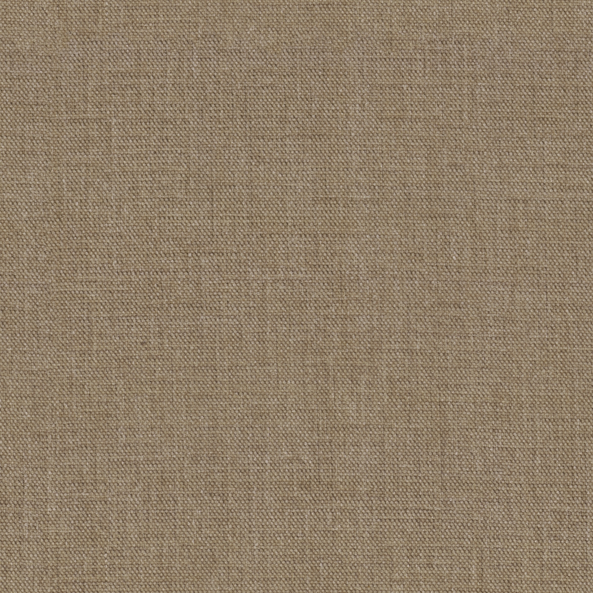 tp1572-031-142.jpg