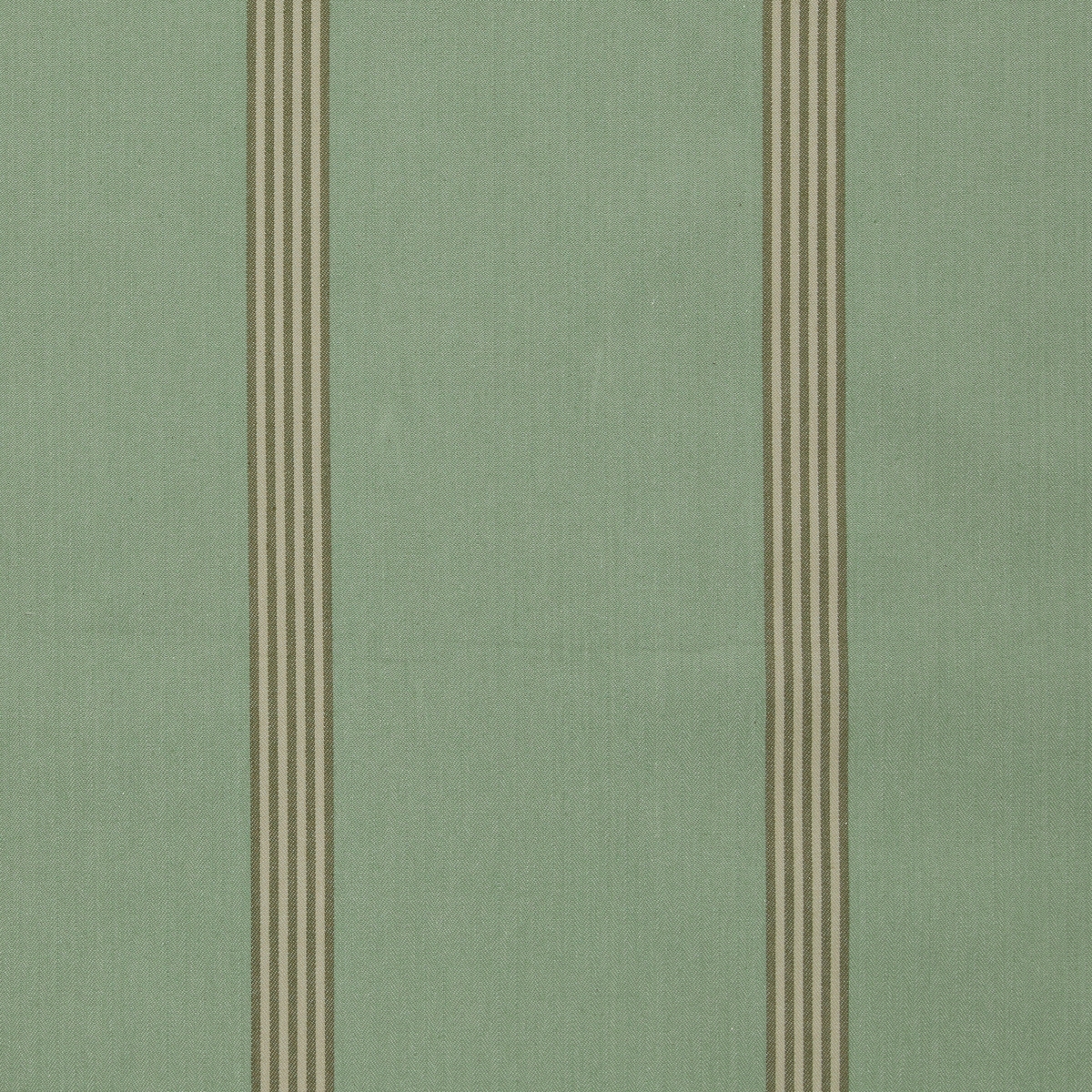 ts8425-002-137.jpg