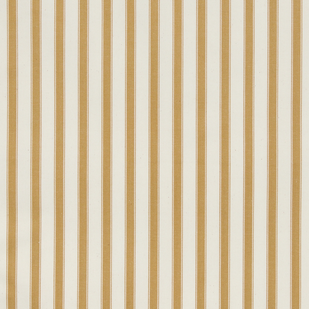 ts8431-001-137.jpg