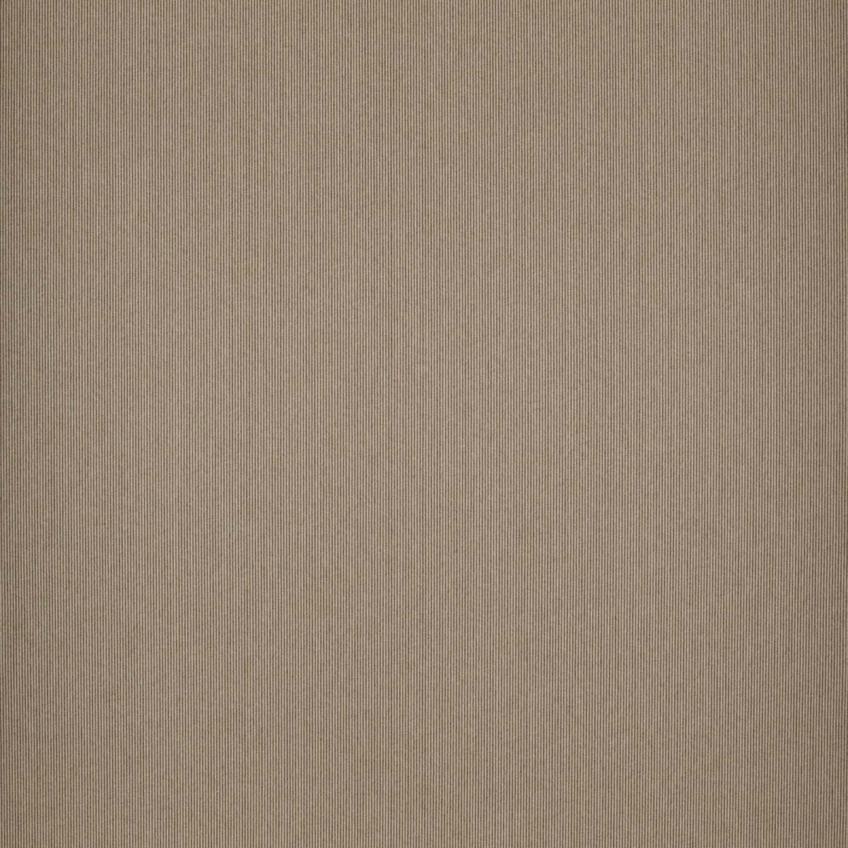 tf1545-099-145.jpg
