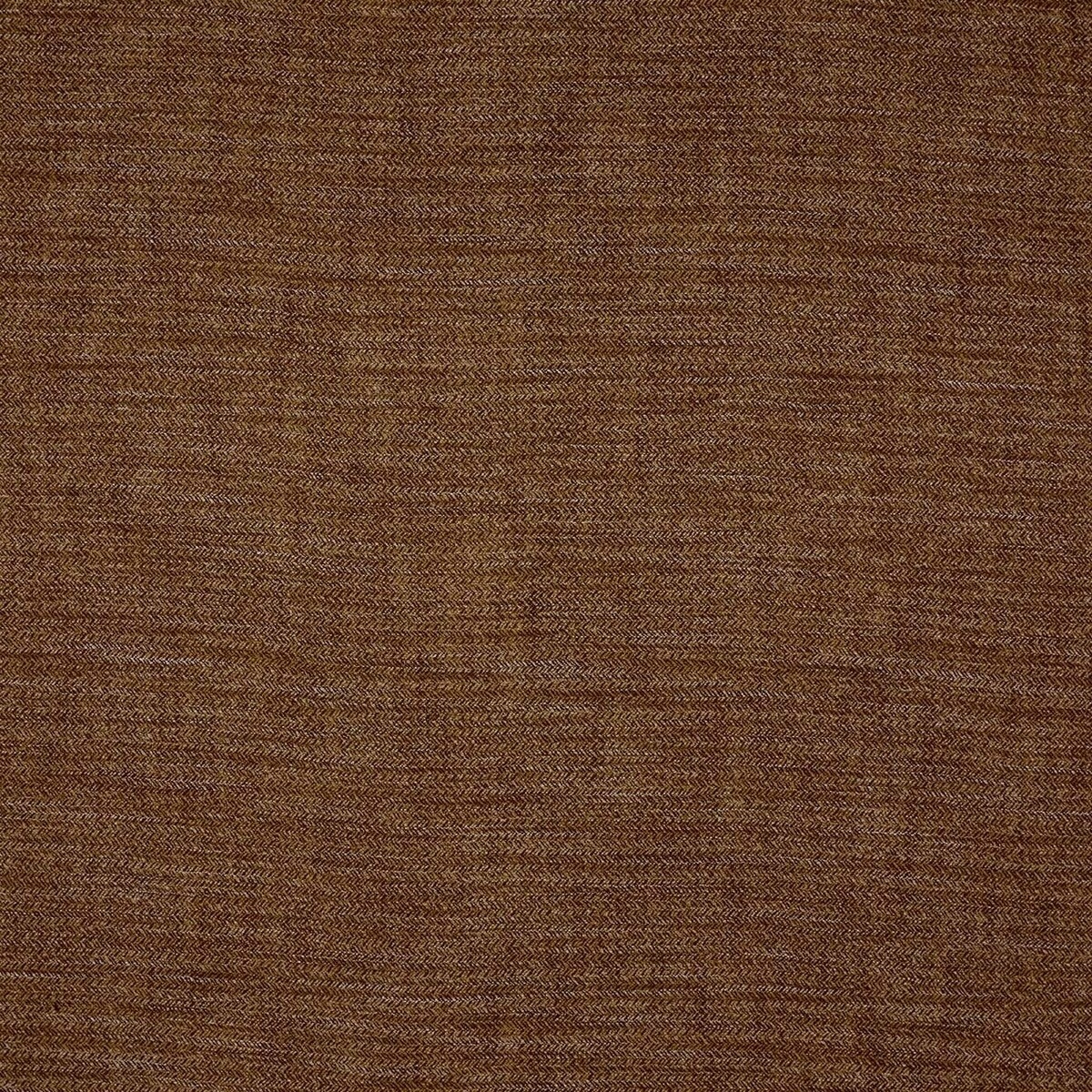 tf1544-001-140.jpg
