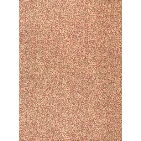 dmcoli202.jpg