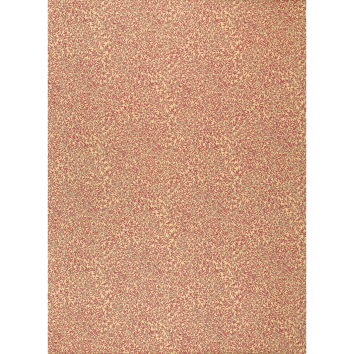dmcoli202.jpg
