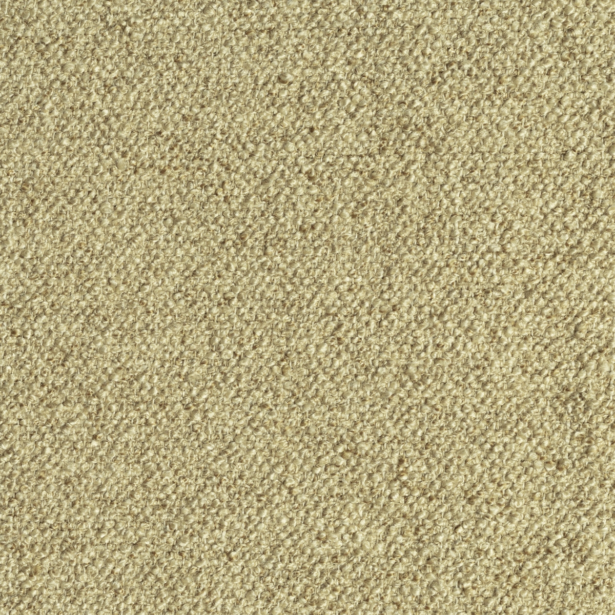 tp1564-005-138.jpg