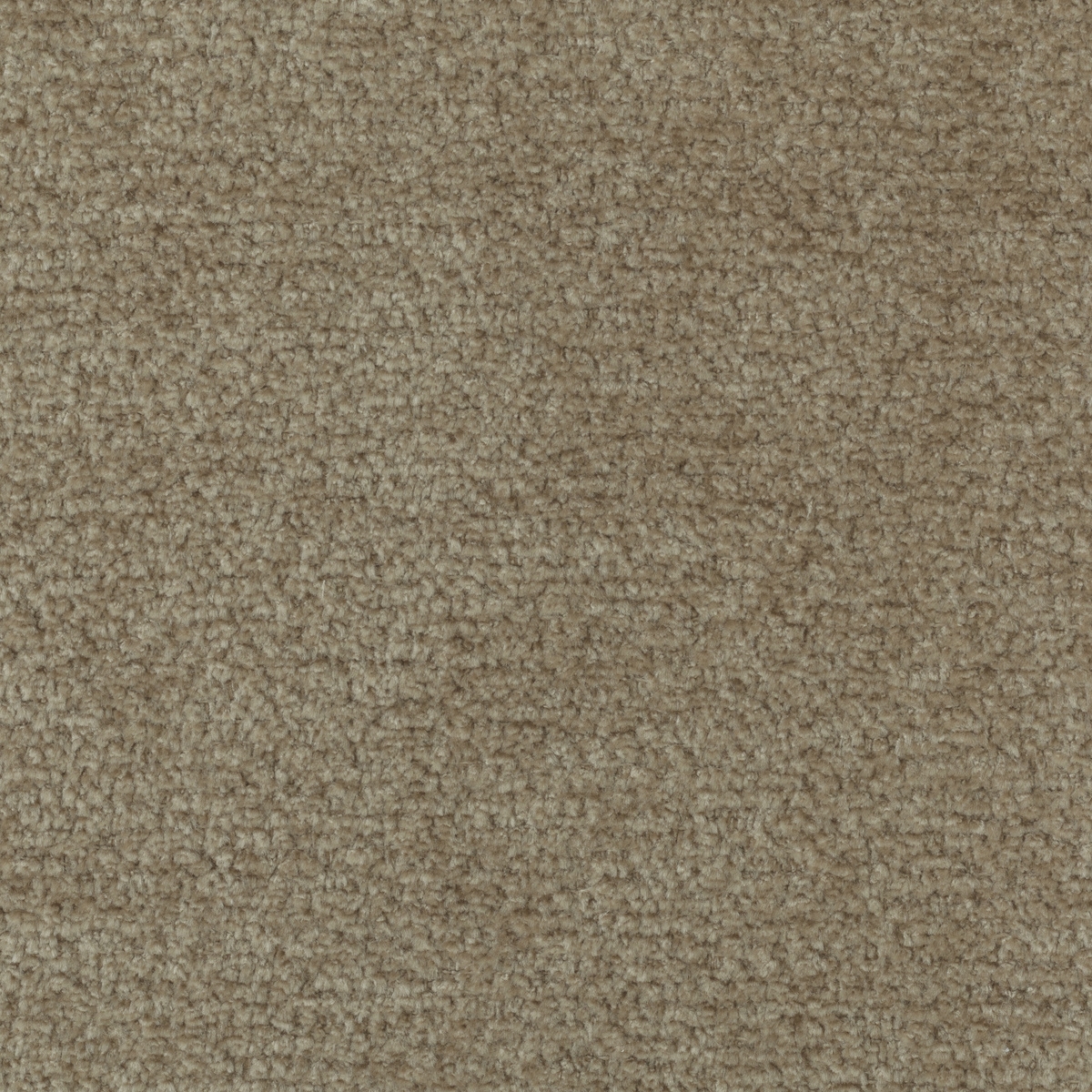 tp1563-007-138.jpg