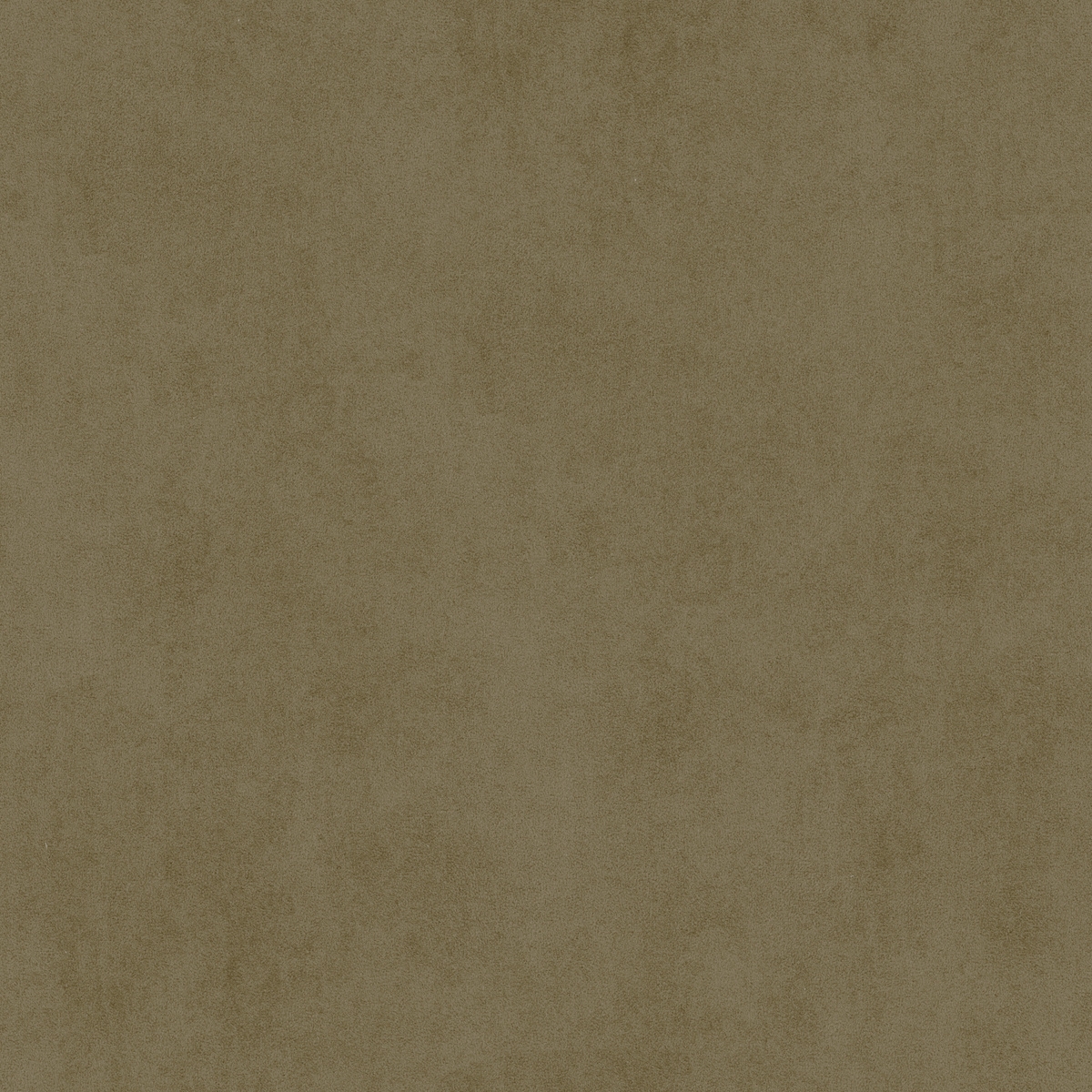 tj0996-007-138.jpg