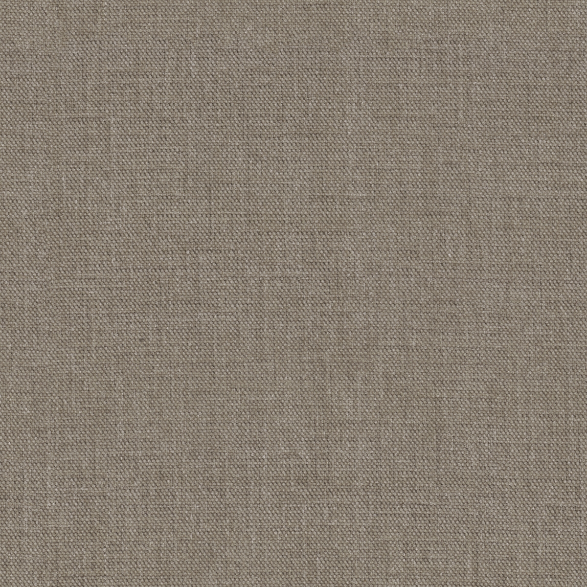 tp1572-031-142.jpg