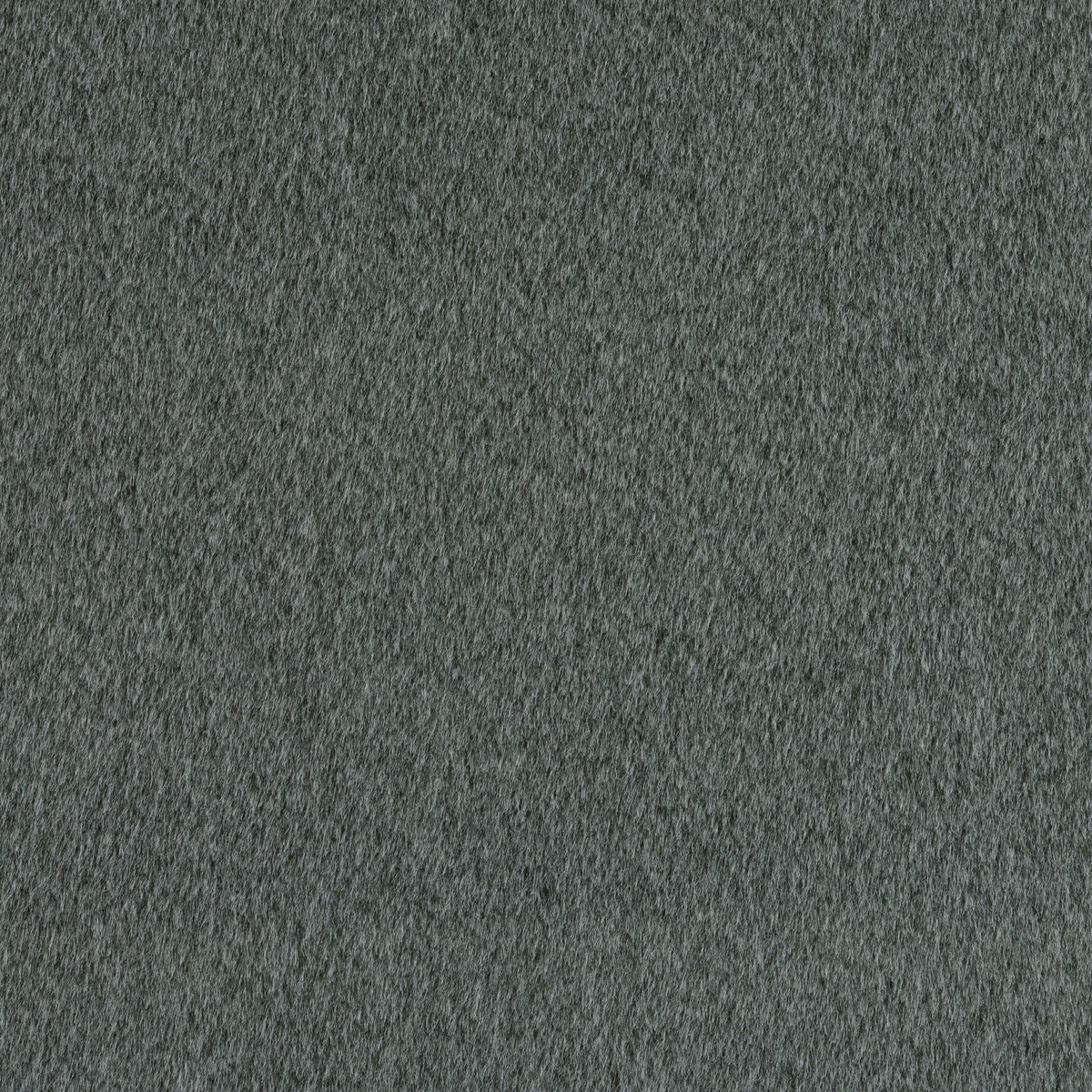 tj0995-006-138.jpg