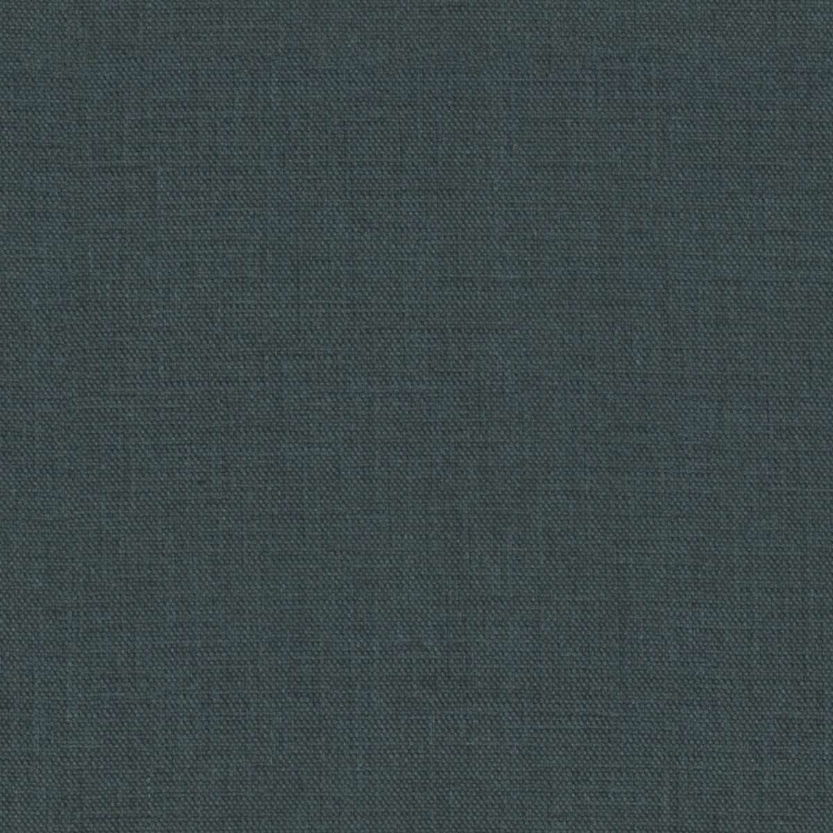 tp1572-006-142.jpg